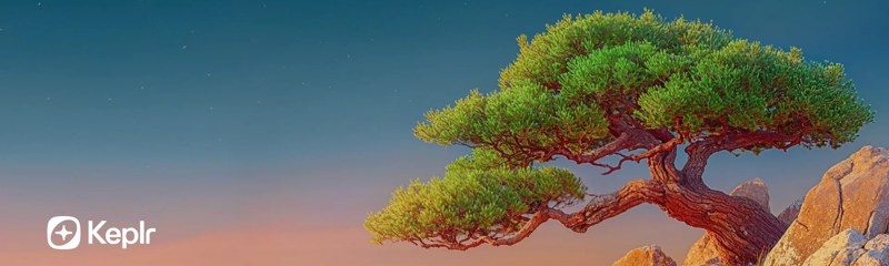 Keplr Recovery Phrase: What to Do If It's Lost, Invalid, or Missing Words